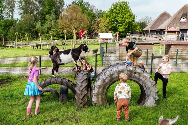 Kinderfeestje (1).jpg 