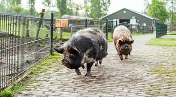 Ontdek onze voorzieningen en activiteiten